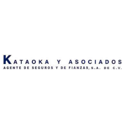 Kataoka y Asociados